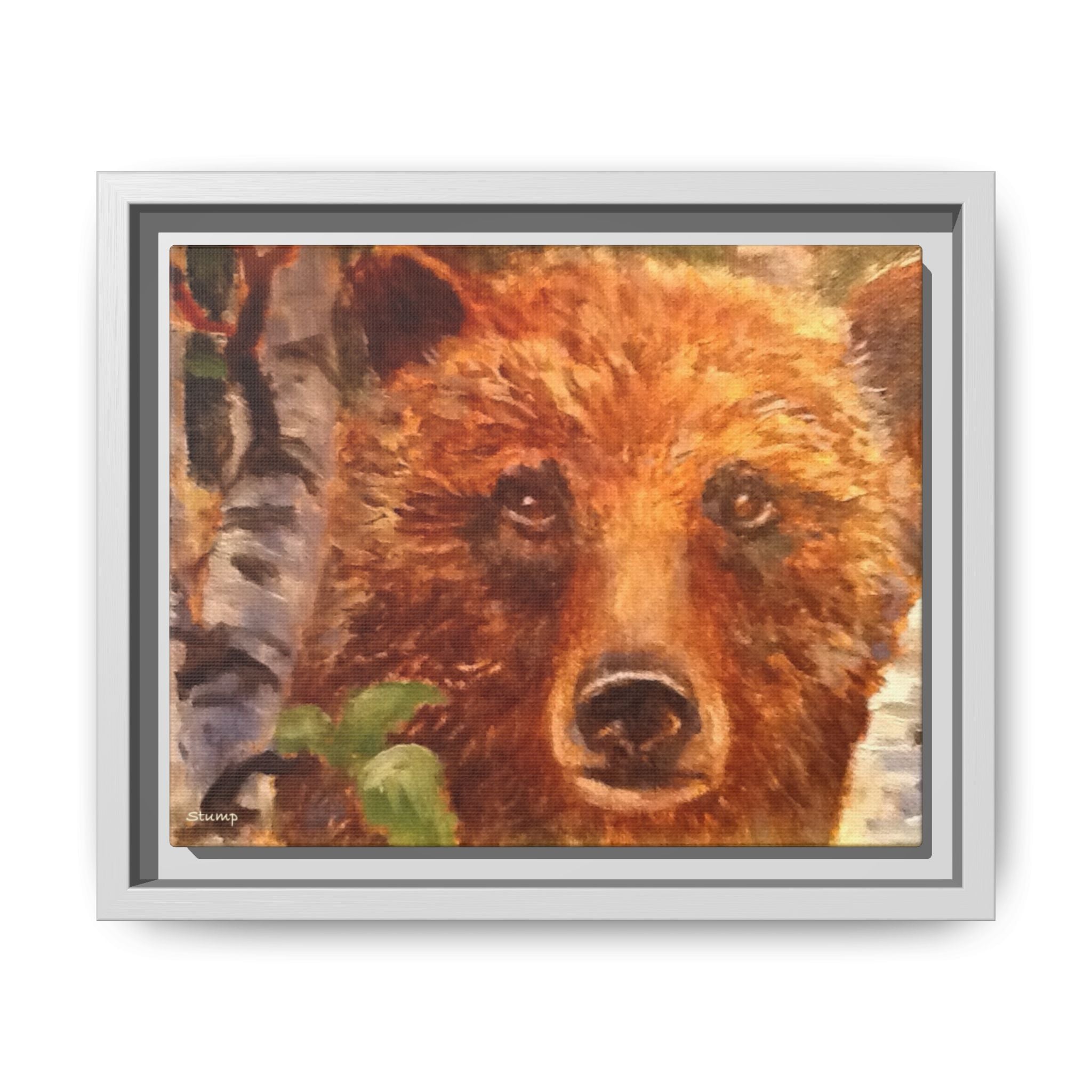 Bear Looking Through Birch Trees Matte Canvas Framed