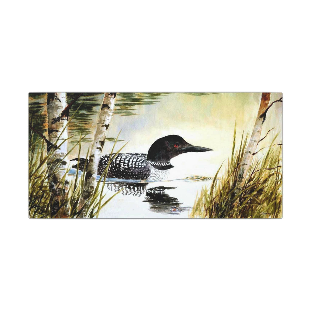 Common Loon On The Lake Watercolor Gallery  Canvas 12"x20"