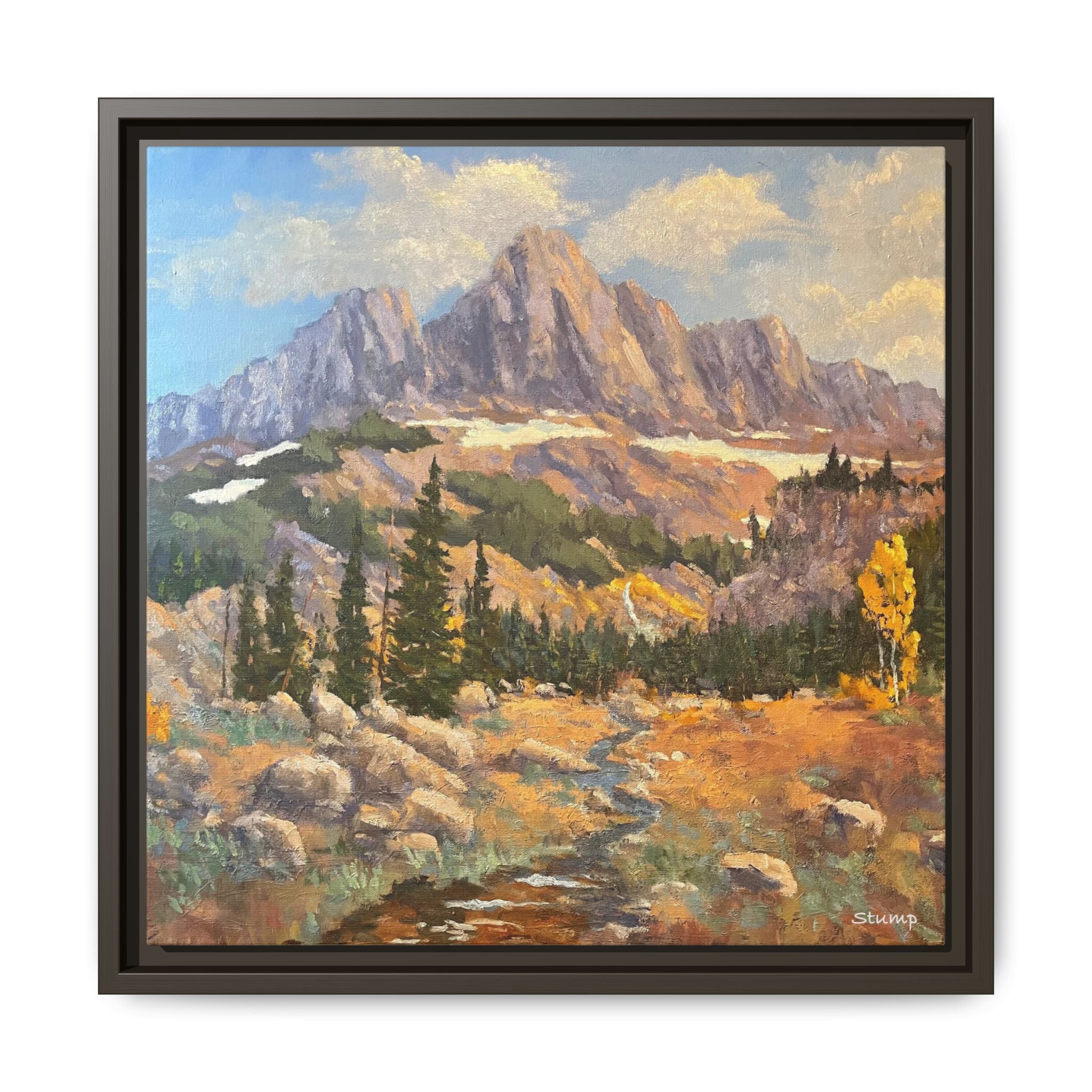 Grand Tetons from the Idaho Side Floater Framed Canvas Print